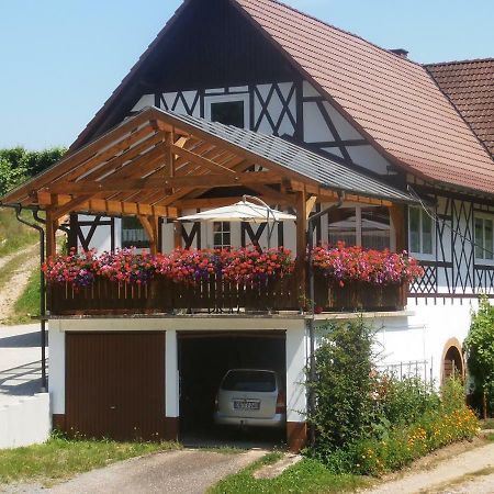 Steinhof Leilighet Oberkirch  Eksteriør bilde