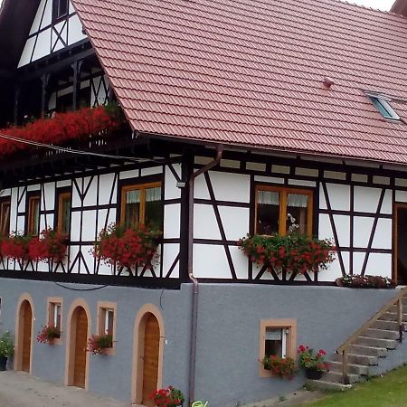 Steinhof Leilighet Oberkirch  Eksteriør bilde