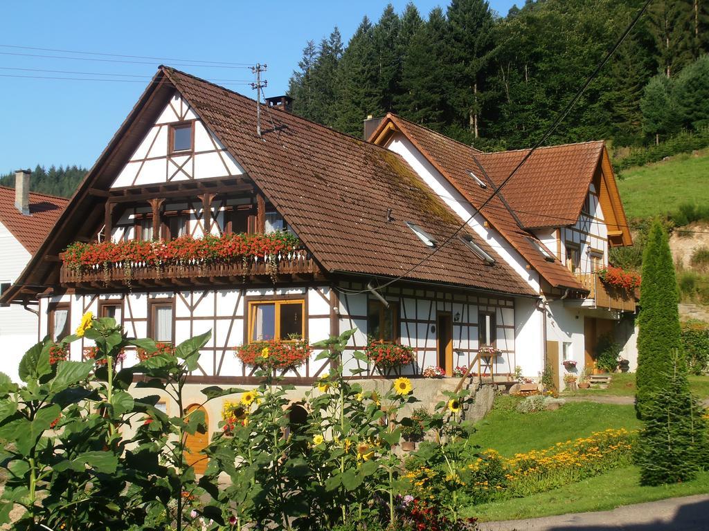 Steinhof Leilighet Oberkirch  Eksteriør bilde