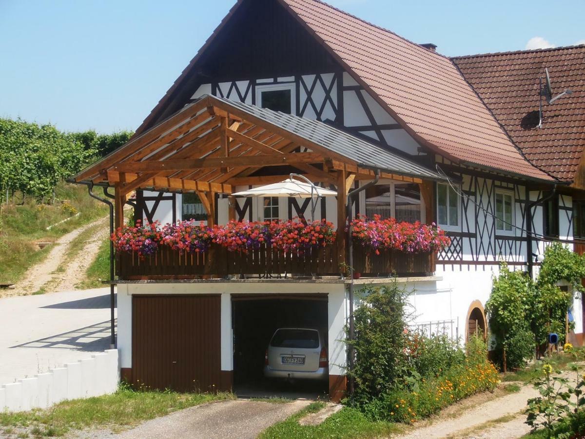 Steinhof Leilighet Oberkirch  Eksteriør bilde