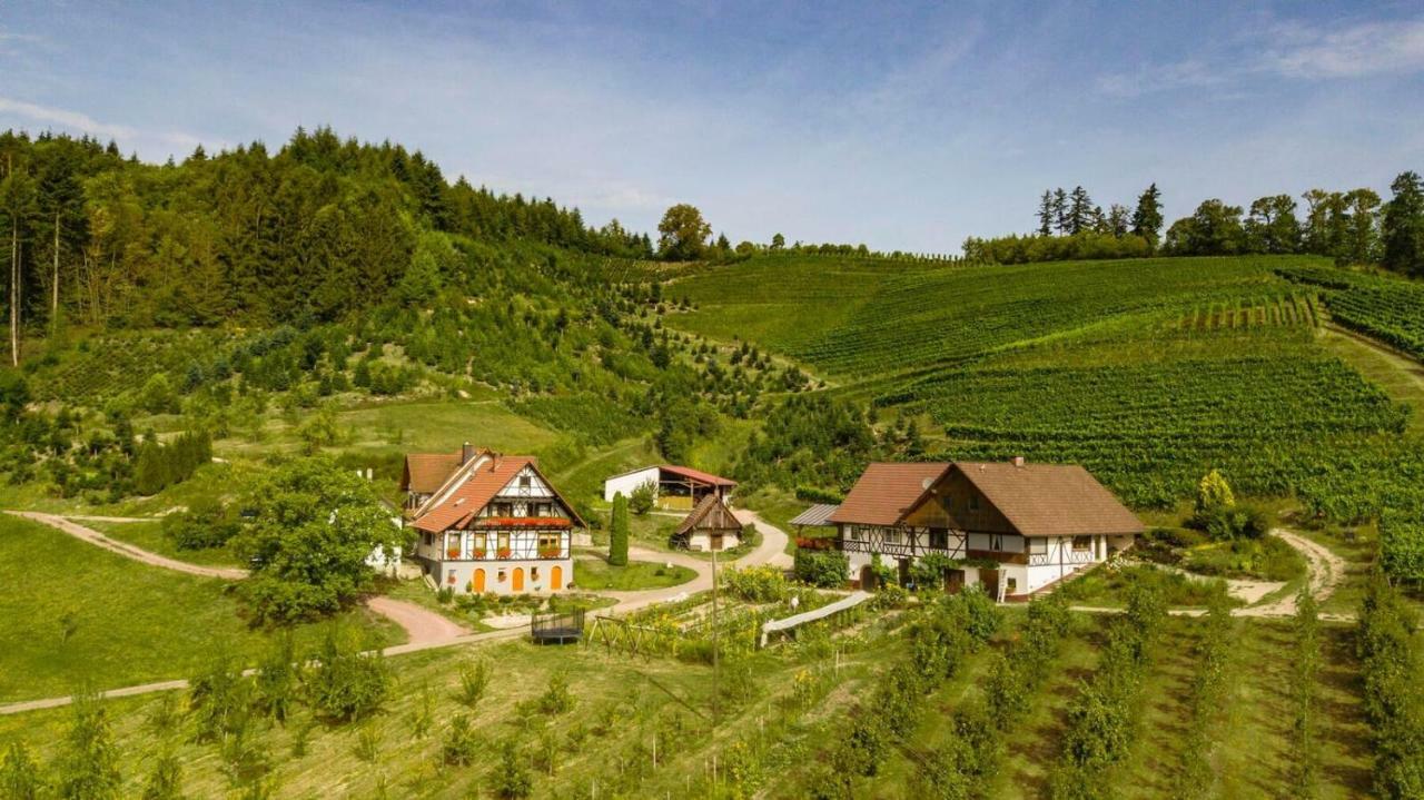 Steinhof Leilighet Oberkirch  Eksteriør bilde