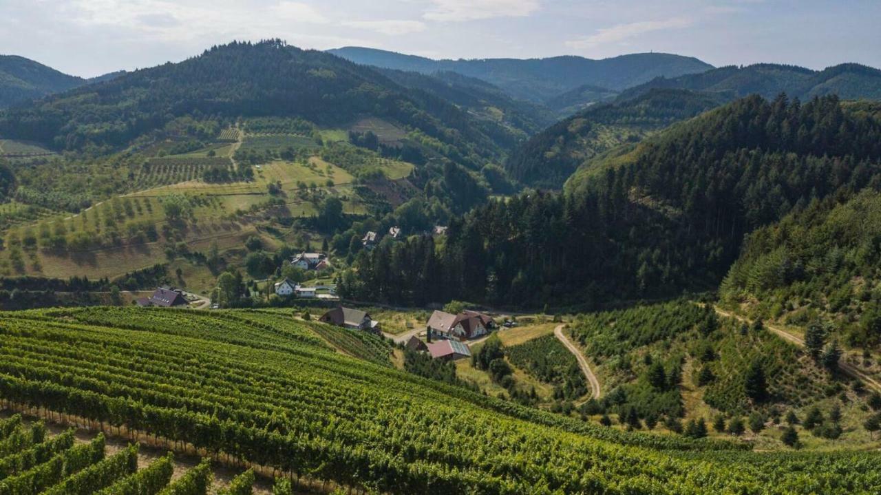 Steinhof Leilighet Oberkirch  Eksteriør bilde
