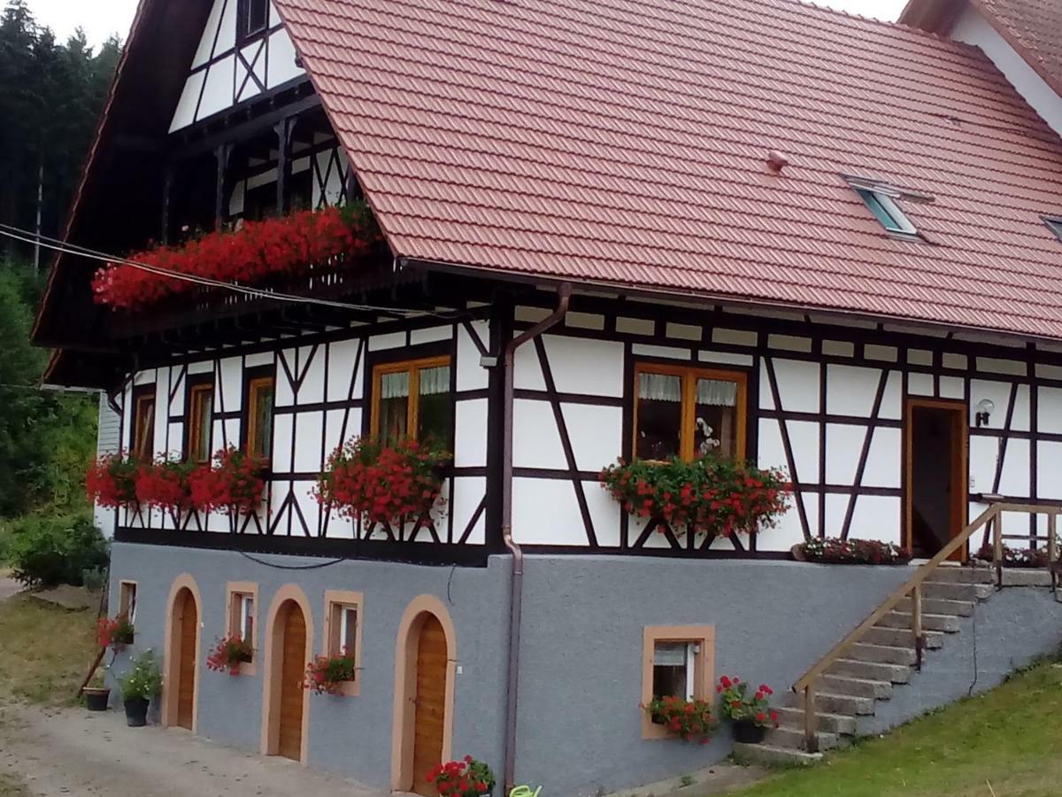 Steinhof Leilighet Oberkirch  Eksteriør bilde